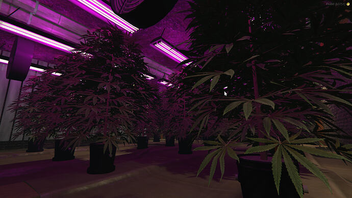 Hidden Tree Weedlab MLO | Underground Secret Map thumbnail 11