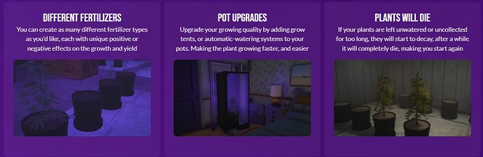 Weed Production thumbnail 4