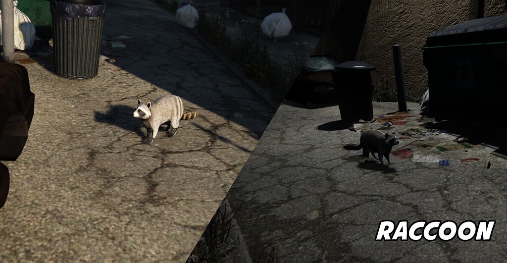 Raccoon - Addon Animal Ped - FiveM Releases - Cfx.re Community