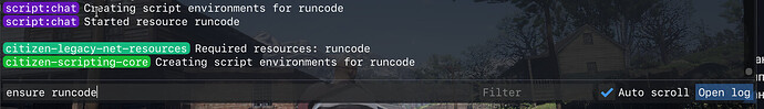 Runcode starting