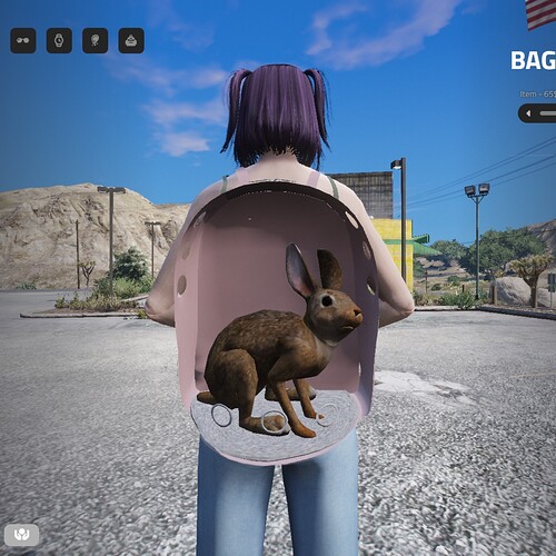 Pet Backpacks thumbnail 8