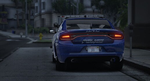 elkins pd 3
