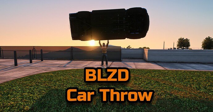 BLZD Car Throw
