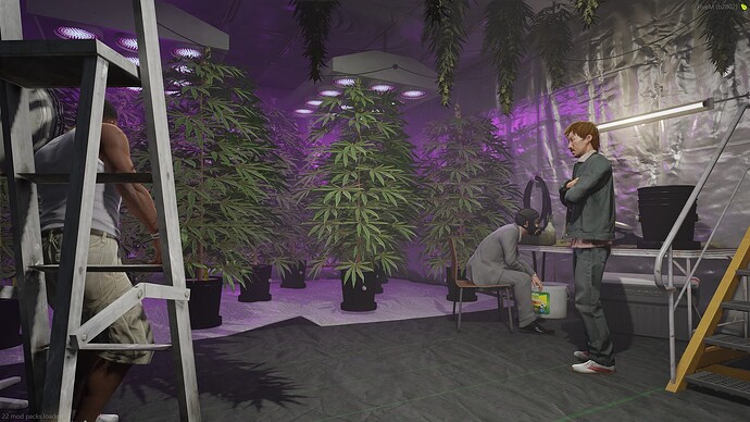 HG_BlockBudz_19