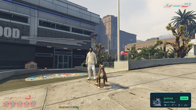 Screenshot 2025-01-24 184229