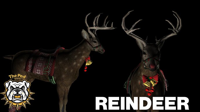 reindeer pic