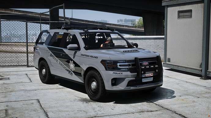 15 NEW Police Cars [POLICE PACK V1] - Callsigns, 3 Liveries, 3 Lightbars, AND MORE thumbnail 2