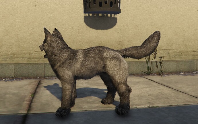 Screenshot 2025-03-09 013019