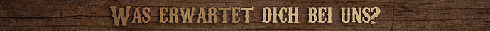 features_banner