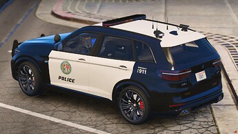 [PAID] Lore-Friendly Police Rebla thumbnail 3