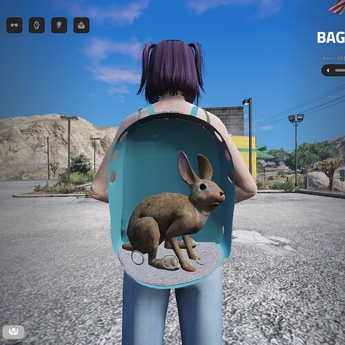 Pet Backpacks thumbnail 7