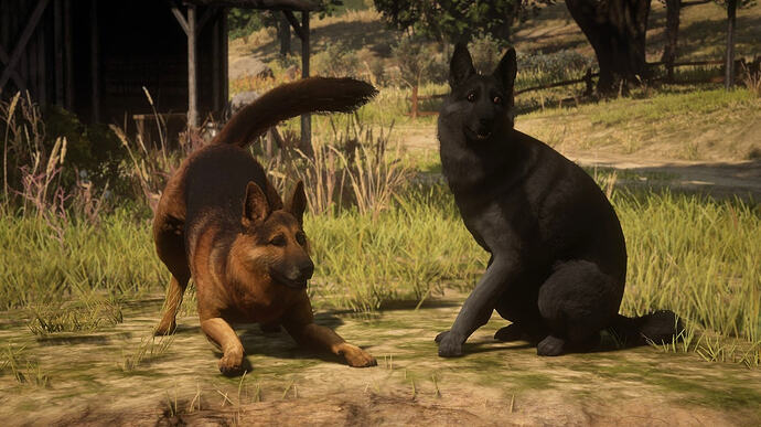 Two German Shepherd companion dogs on The Rift RedM server, showing a classic tan-and-black coat and a solid black coat in a grassy pasture