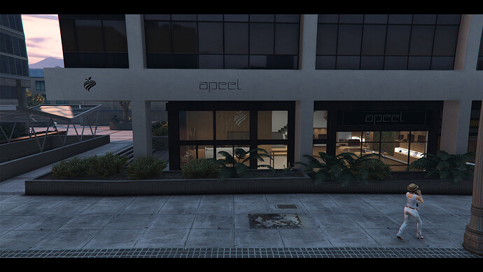 [PAID] Apeel - Digital Store - MLO & Mapping For FiveM thumbnail 2