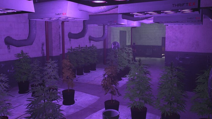 Weed Production thumbnail 17