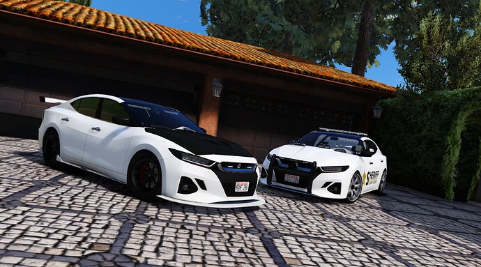 [500+ Mod Options] The Goose's Unstoppable Force DLC thumbnail 3