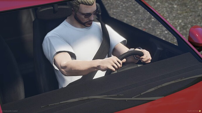 Mosoto Seatbelt Preview