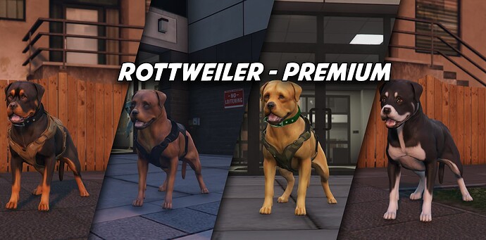 rottweiler
