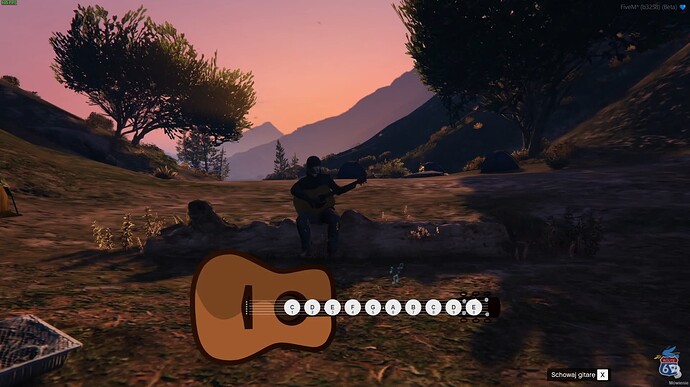 playing 1st person view