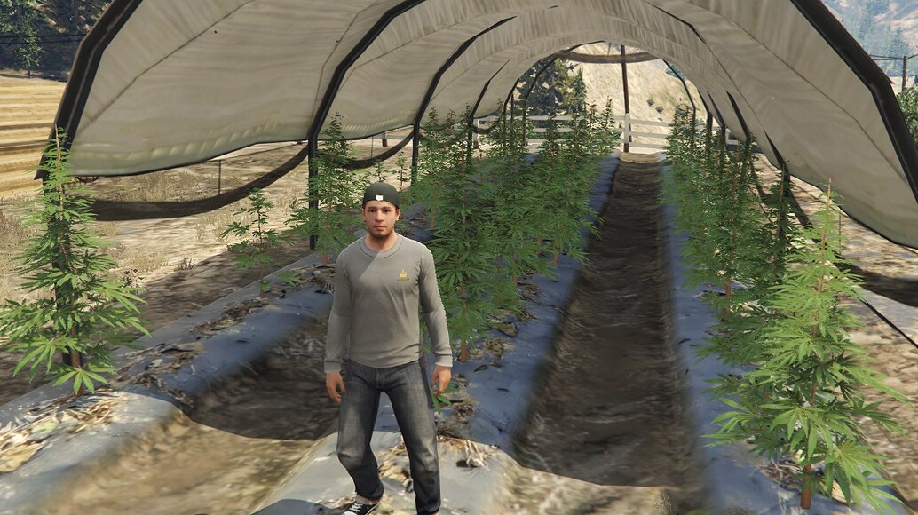 [QBcore] Weed Picking - FiveM Releases - Cfx Forum