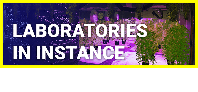 Laboratories in instance Thumbnail