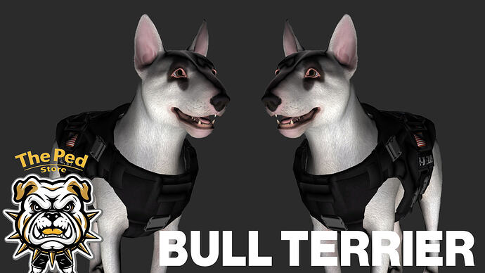 bull terrier pd pic
