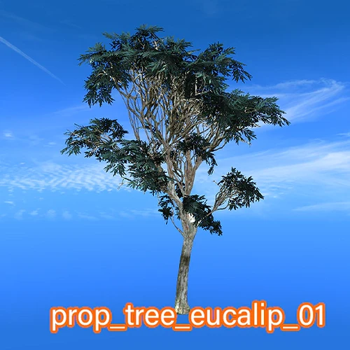 prop_tree_eucalip_01
