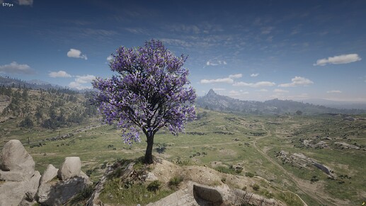 RedM_b1436_GTAProcess_xJWXAup1rI