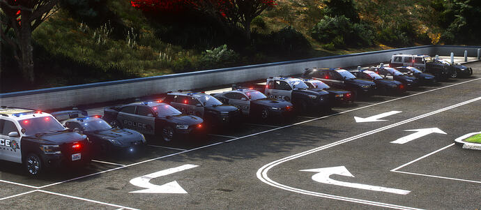 car pack picture