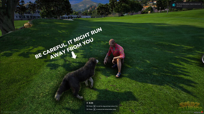 SMDZ Pets Rescue – Immersive Civilian Mission System 4