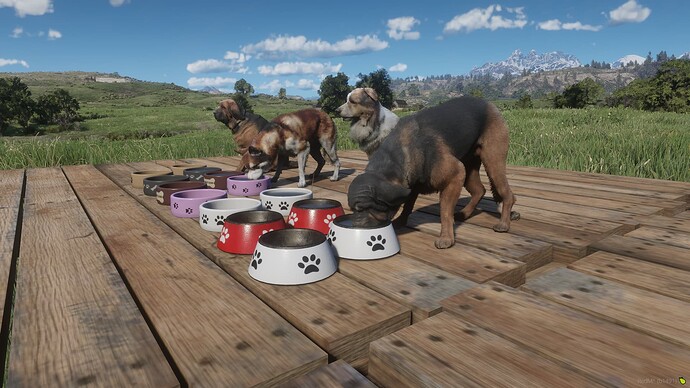 Dog Bowls - RedM Releases - Cfx Forum