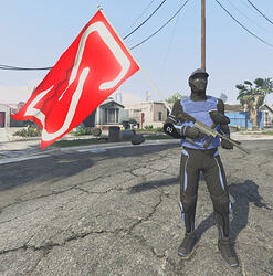 Custom Flag