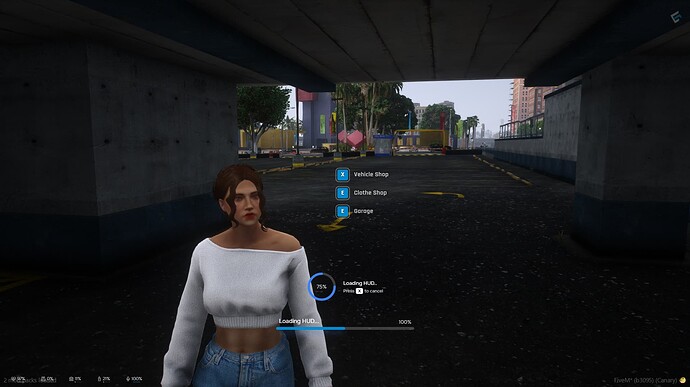 HUD, Help Notify & Progressbars