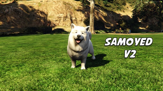 samoyedv2