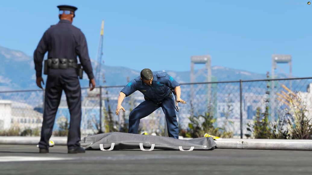 Bodybag Script - FiveM Releases - Cfx.re Community