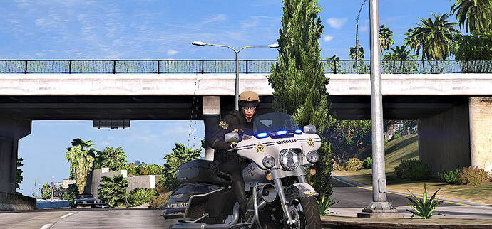 FiveM_GTAProcess_HG0U4xAIP2