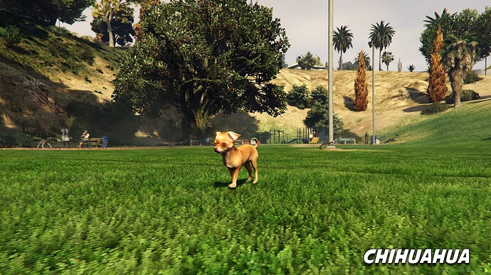 Chihuahua - Addon Dog Ped