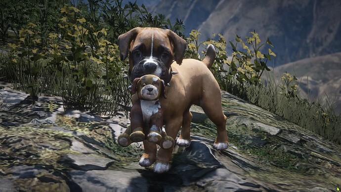 Teddy Bear Toy