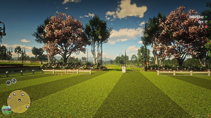 RedM_GTAProcess 2025-04-20 11-24-17_050