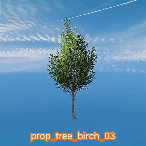 prop_tree_birch_03