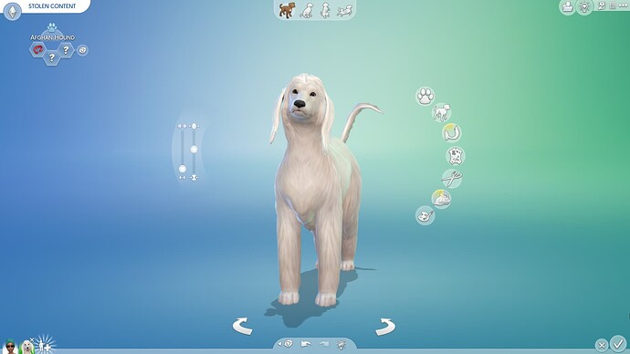 2024-01-31 14_36_43-The Sims™ 4