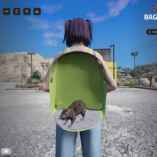 Pet Backpacks thumbnail 9
