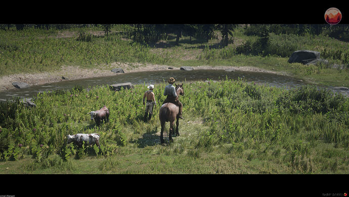 ranching