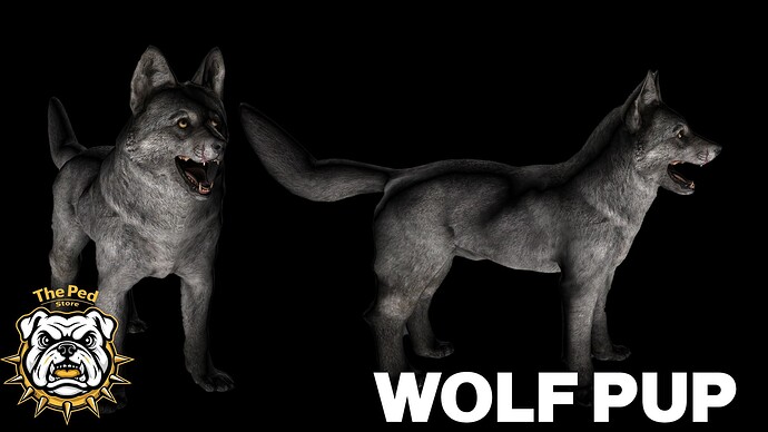 wolf pup pic