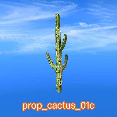 prop_cactus_01c