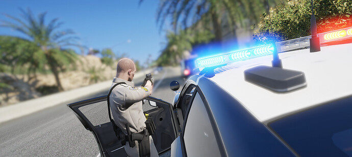 chpfelonystop3