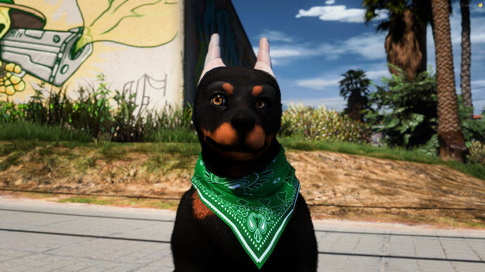 Doberman K9 Puppy