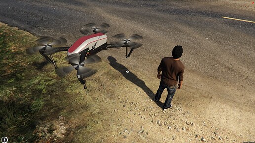 Companion mode