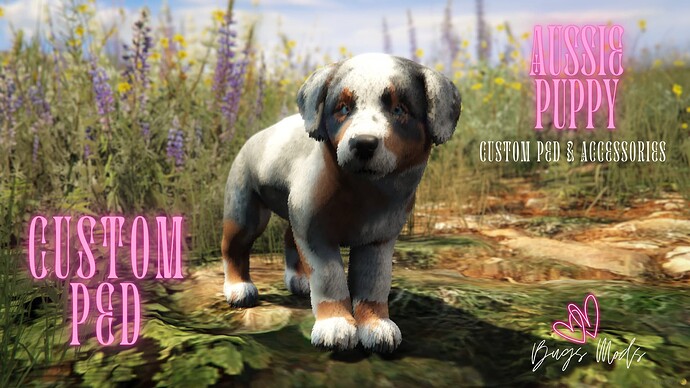 Aussie Puppy