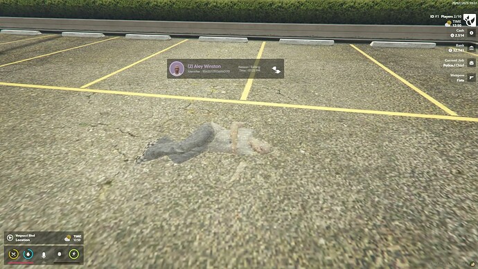 Fivem Information Script | Sweepz Infos thumbnail 4