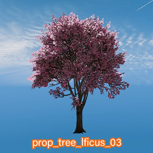 prop_tree_lficus_03